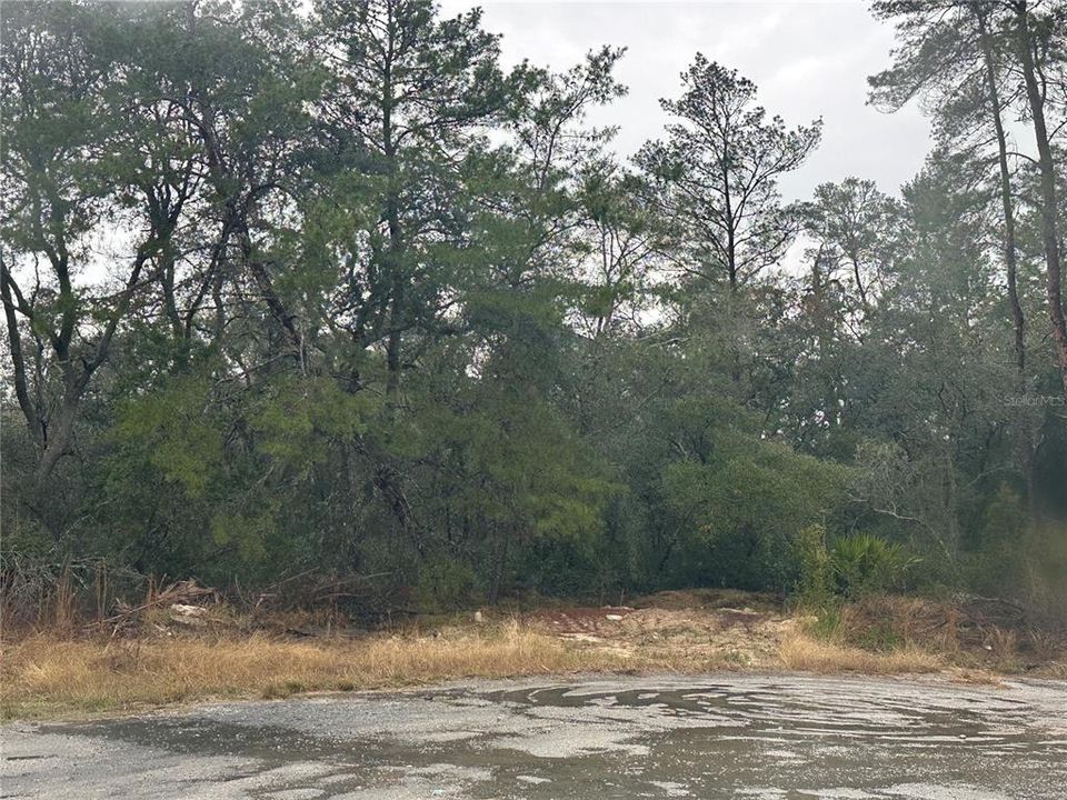 For Sale: $160,000 (2.50 acres)