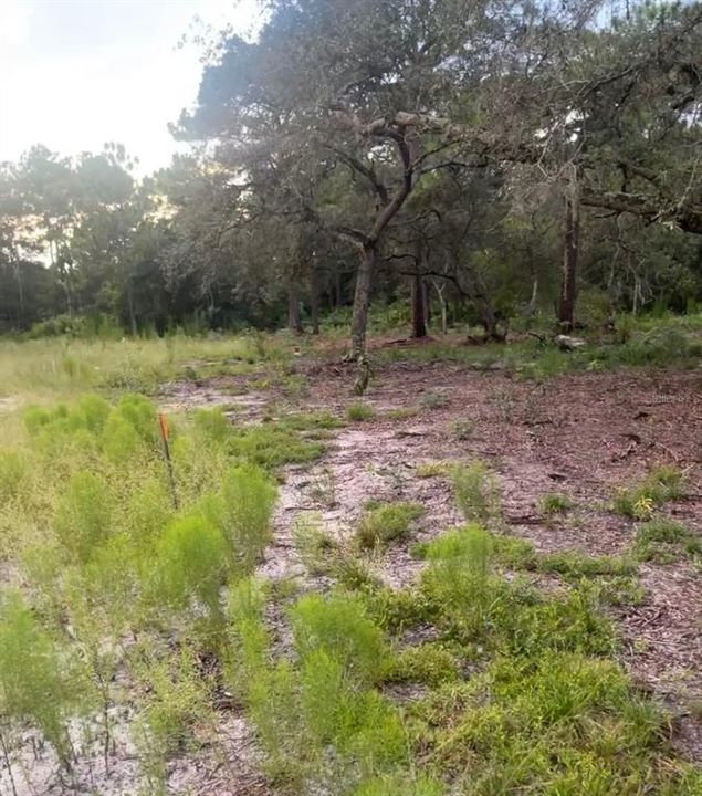 На продажу: $59,000 (0.22 acres)