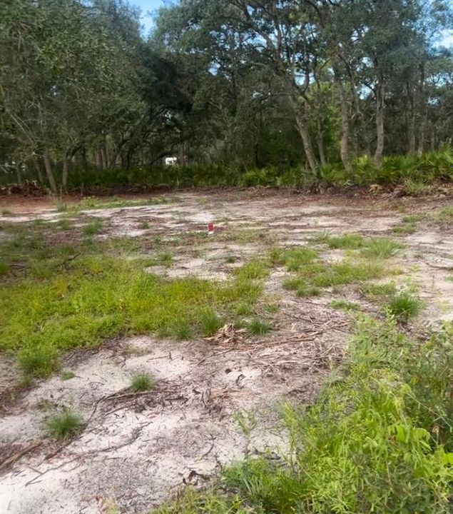 На продажу: $59,000 (0.22 acres)