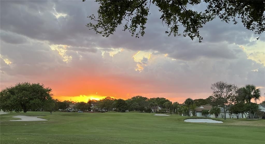 На продажу: $385,000 (3 спален, 2 ванн, 1646 Квадратных фут)