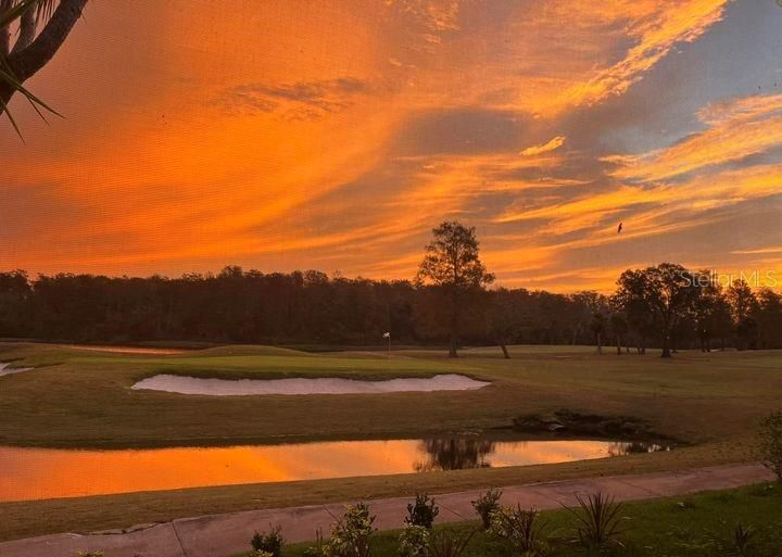 На продажу: $385,000 (3 спален, 2 ванн, 1646 Квадратных фут)