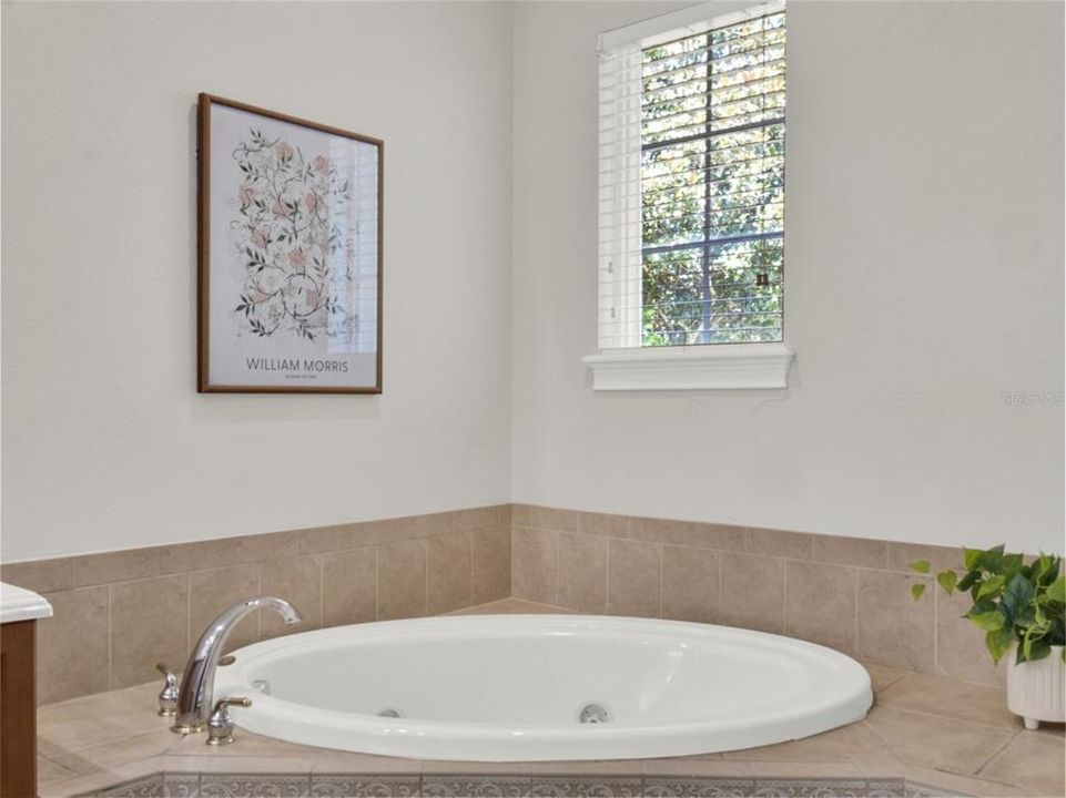 出租: $8,995 (4 贝兹, 3 浴室, 3751 平方英尺)