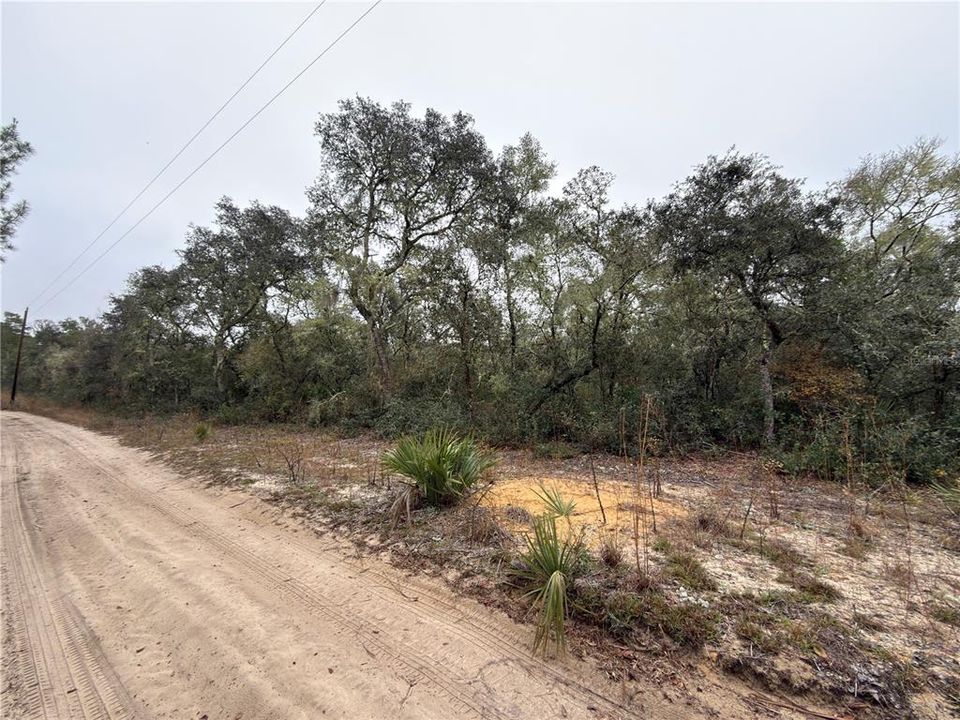 For Sale: $26,000 (0.63 acres)