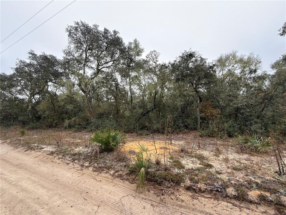 For Sale: $26,000 (0.63 acres)