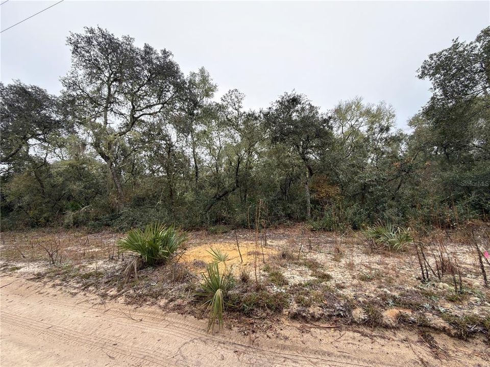 For Sale: $26,000 (0.63 acres)