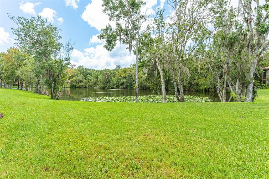 出租: $2,700 (3 贝兹, 2 浴室, 2308 平方英尺)