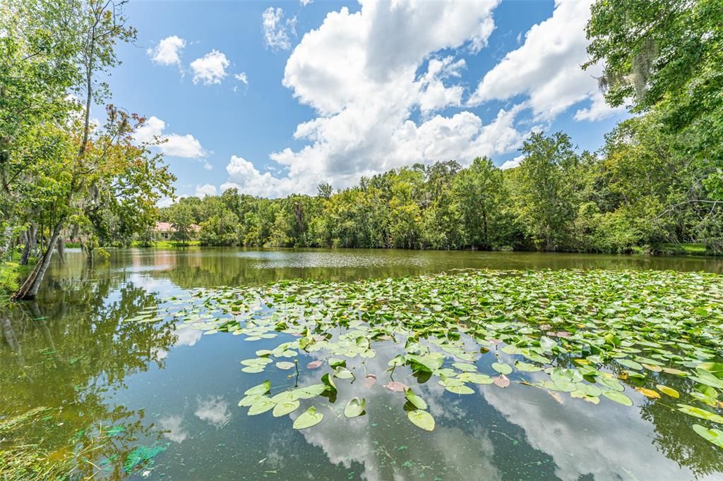 出租: $2,700 (3 贝兹, 2 浴室, 2308 平方英尺)