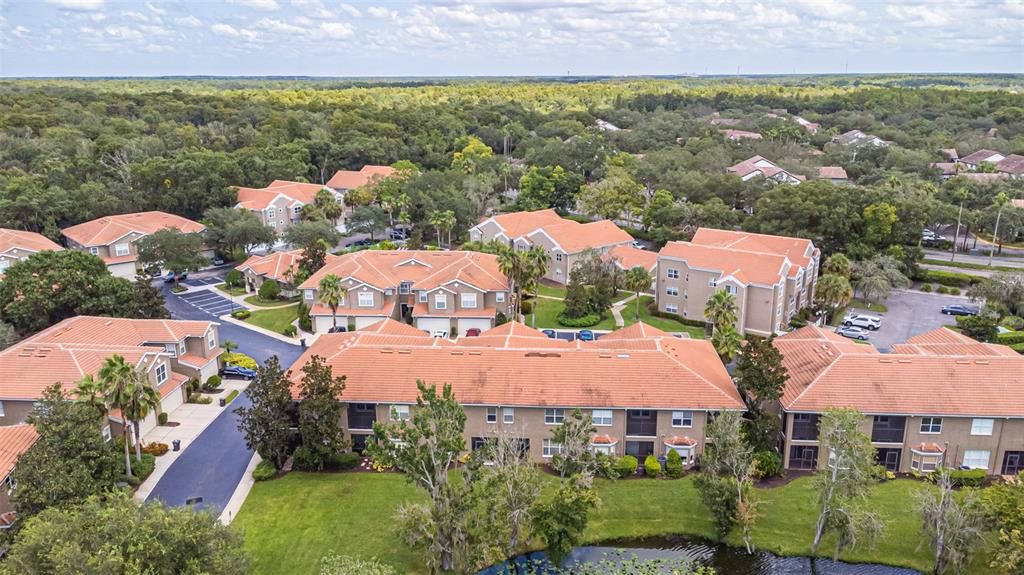 出租: $2,700 (3 贝兹, 2 浴室, 2308 平方英尺)