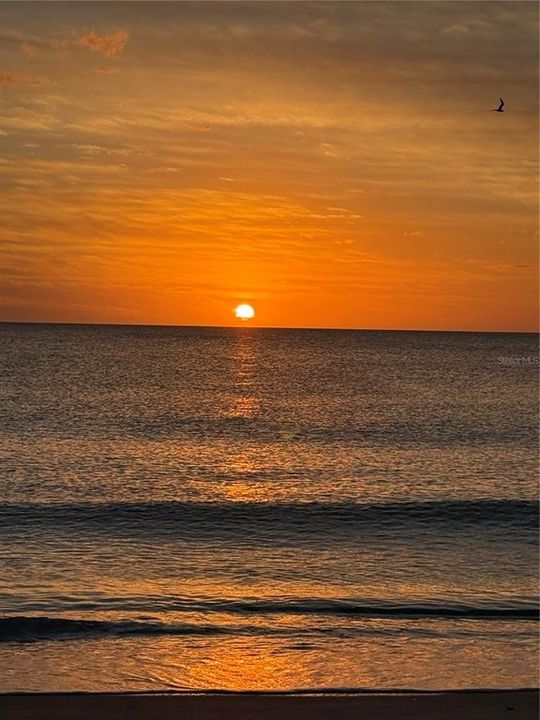 出租: $7,500 (2 贝兹, 2 浴室, 1505 平方英尺)