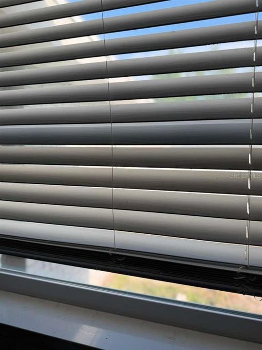 For Sale: $249,000 (2 beds, 1 baths, 750 Square Feet)