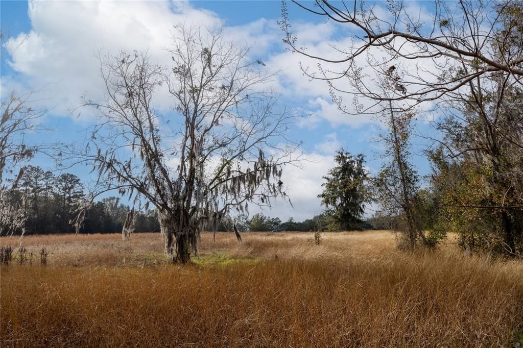 На продажу: $850,000 (55.76 acres)