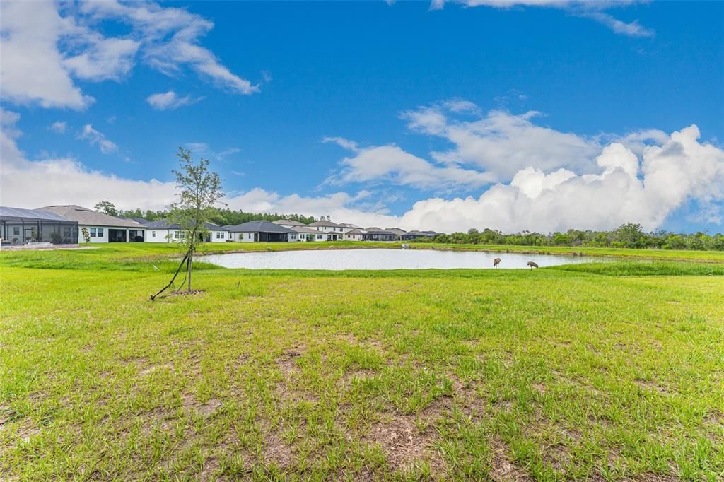 For Sale: $750,000 (5 beds, 3 baths, 3755 Square Feet)