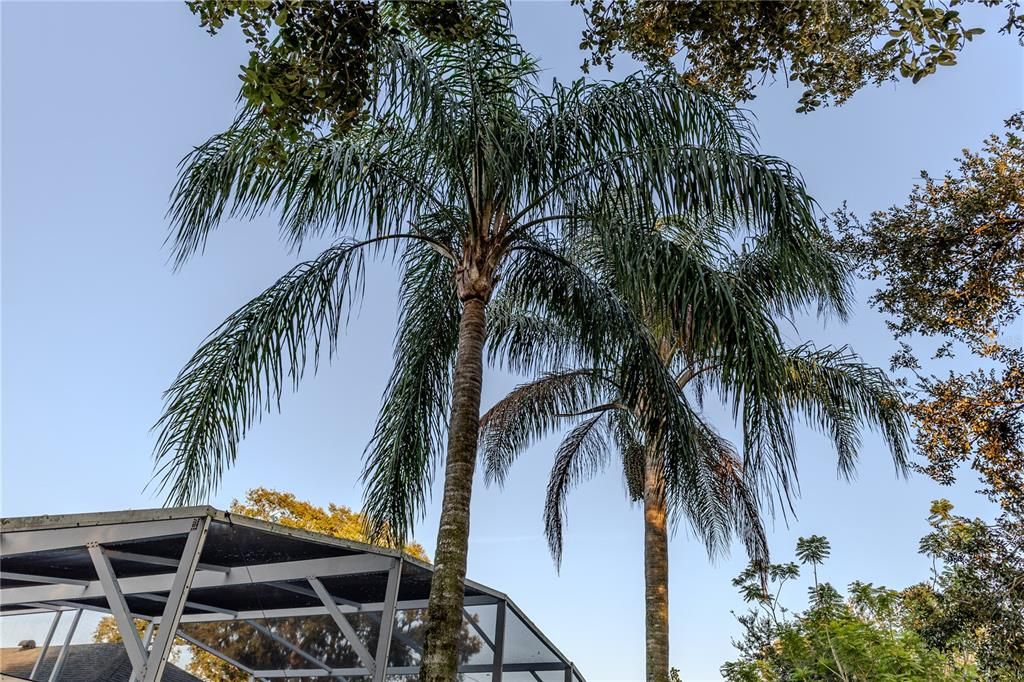 待售: $464,900 (3 贝兹, 2 浴室, 2008 平方英尺)