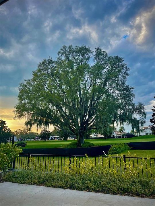 For Sale: $5,920,000 (5 beds, 5 baths, 6445 Square Feet)