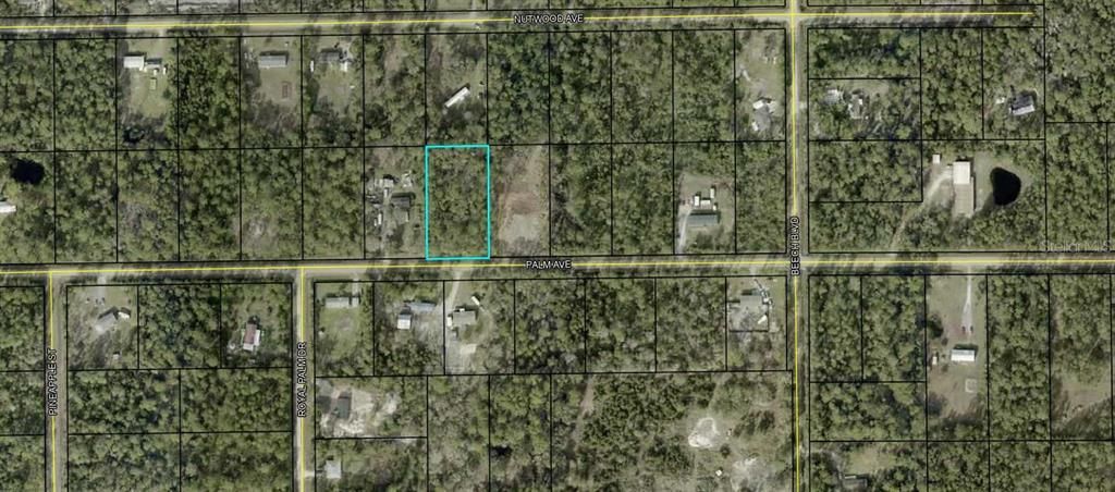 For Sale: $42,000 (1.14 acres)
