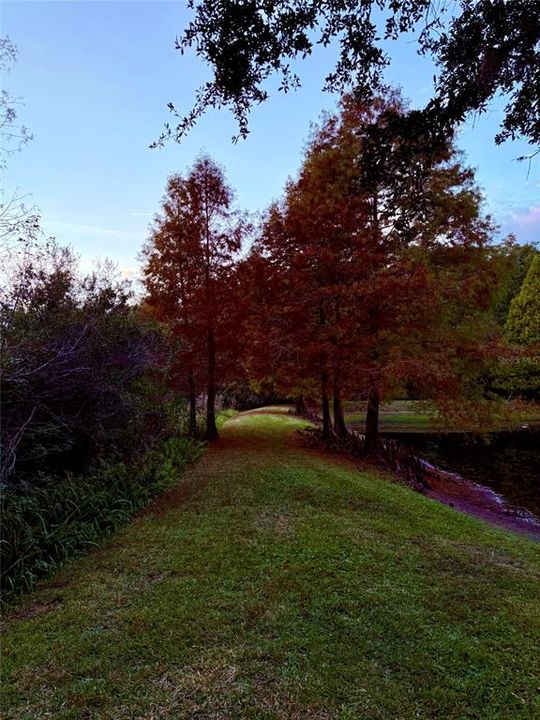 For Sale: $429,900 (3 beds, 2 baths, 1735 Square Feet)