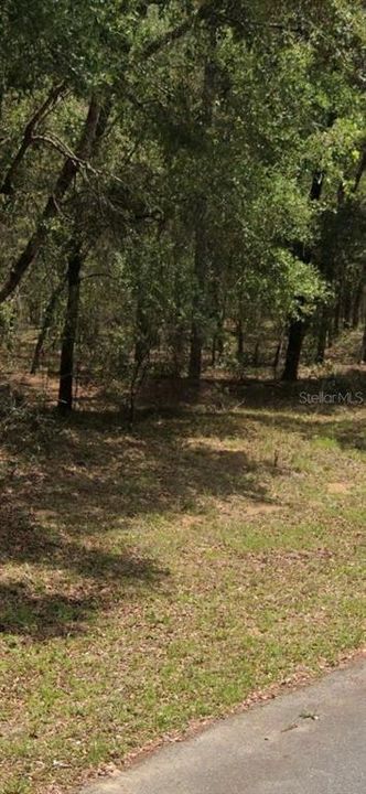 En Venta: $25,000 (0.23 acres)