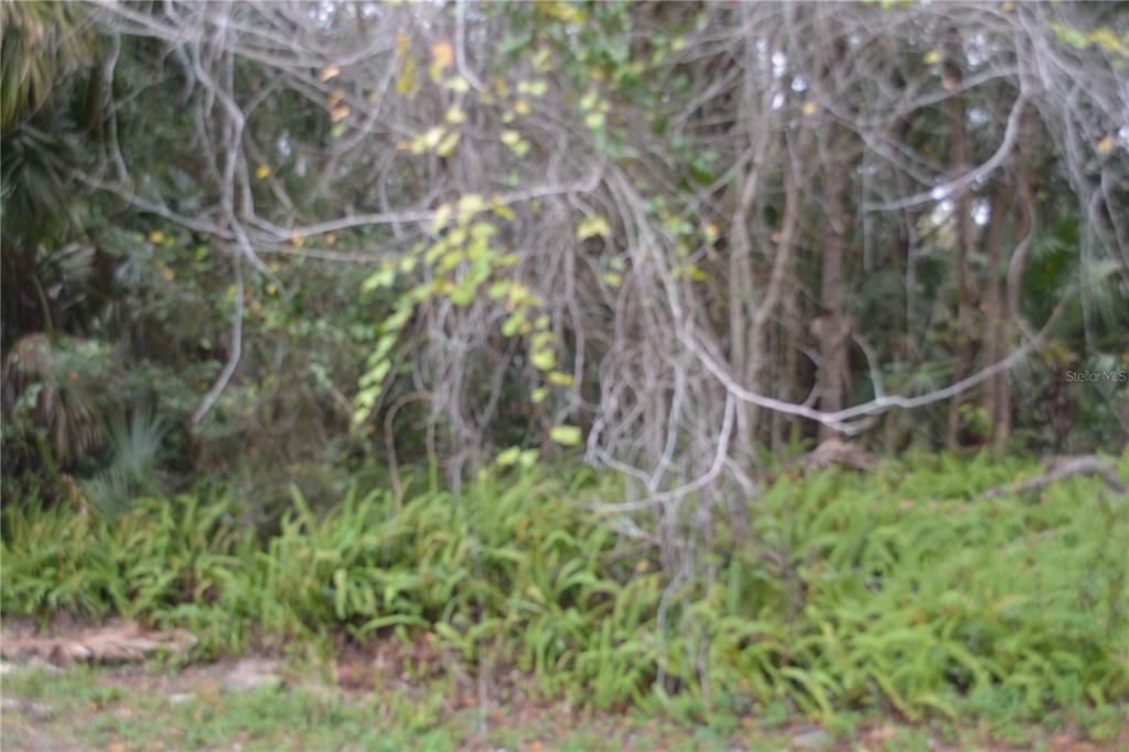 En Venta: $225,000 (1.92 acres)