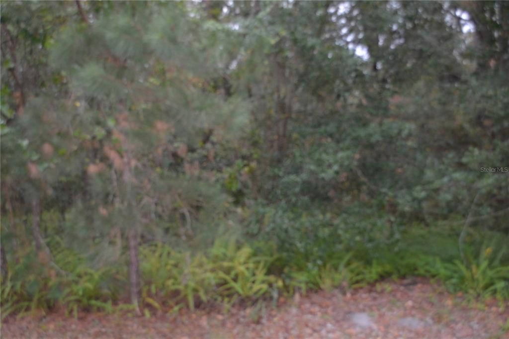 En Venta: $225,000 (1.92 acres)