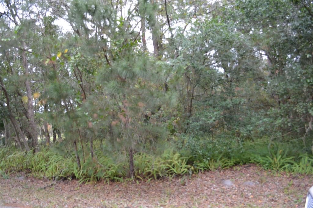 En Venta: $225,000 (1.92 acres)