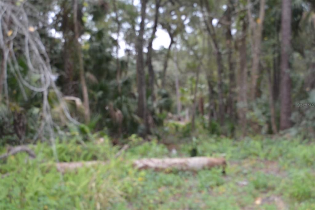 En Venta: $225,000 (1.92 acres)