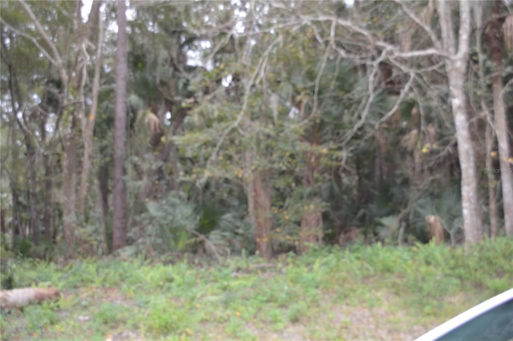 En Venta: $225,000 (1.92 acres)