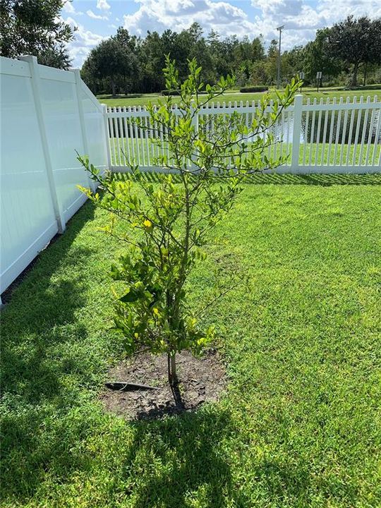 En Venta: $498,900 (4 camas, 2 baños, 2518 Pies cuadrados)