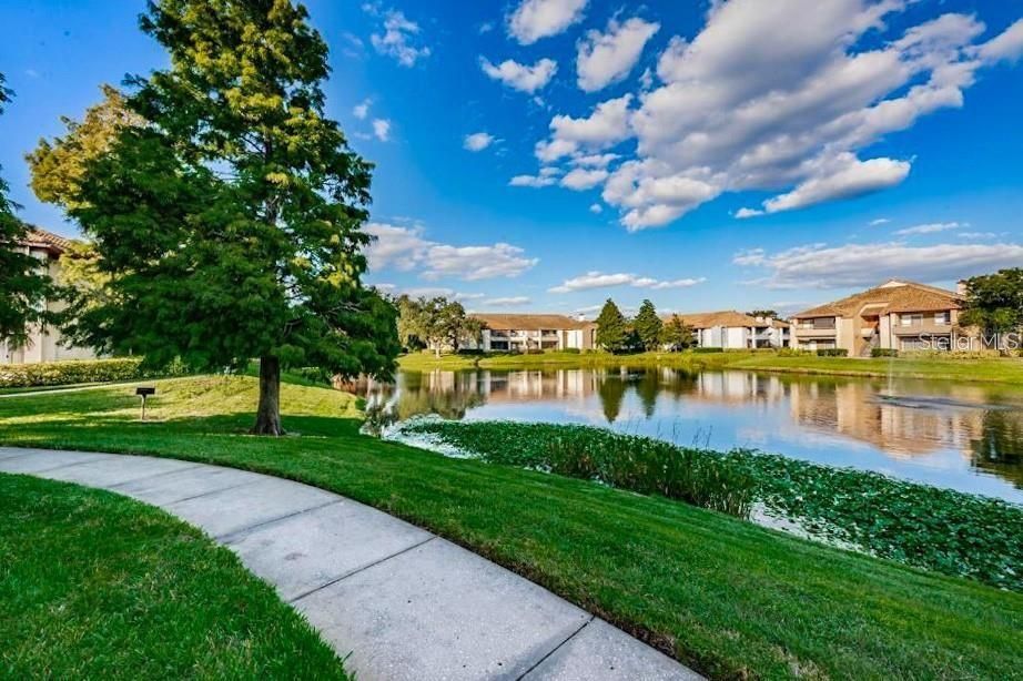 出租: $1,550 (1 贝兹, 1 浴室, 742 平方英尺)