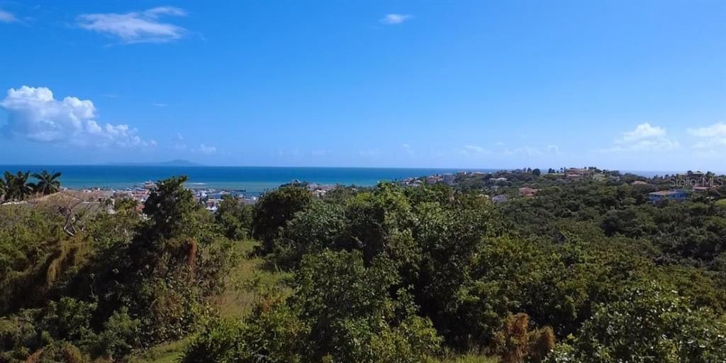 For Sale: $319,900 (0.46 acres)