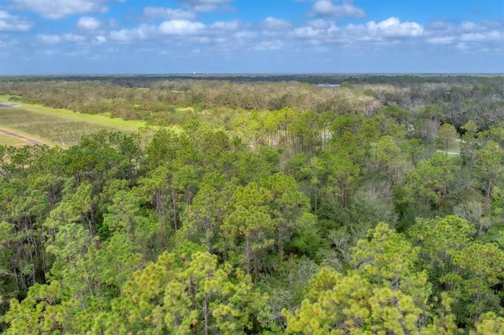 Под контрактом: $449,500 (9.20 acres)