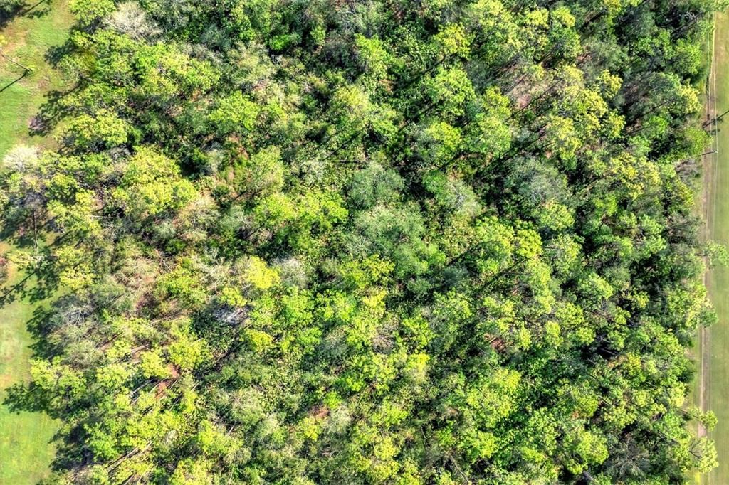 Под контрактом: $449,500 (9.20 acres)