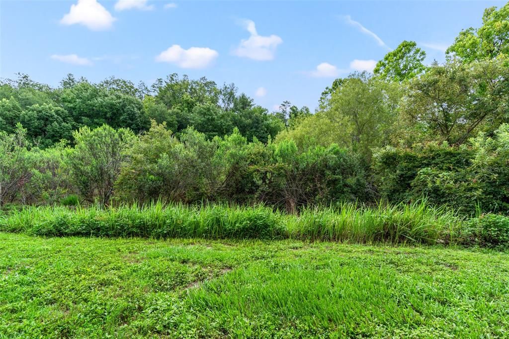 For Rent: $2,500 (3 beds, 2 baths, 1806 Square Feet)