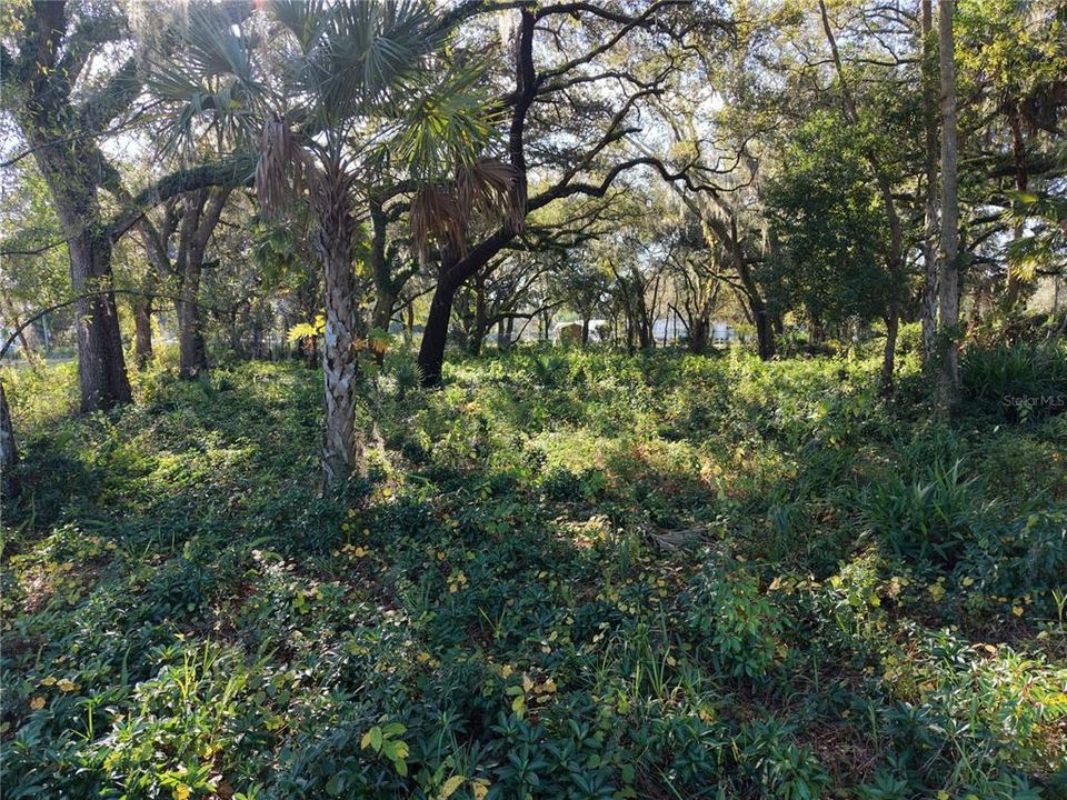 En Venta: $399,000 (0.48 acres)