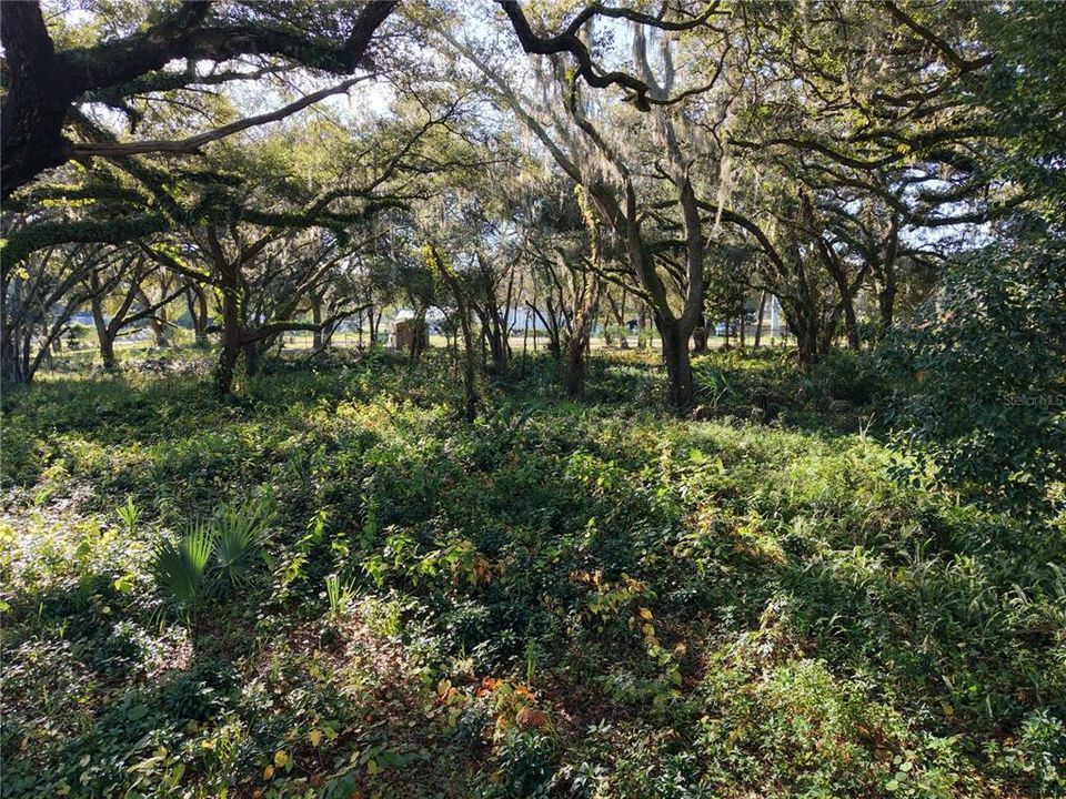 En Venta: $399,000 (0.48 acres)