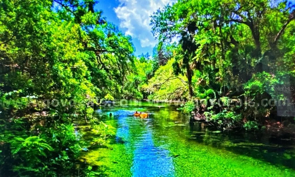 For Sale: $9,000 (0.17 acres)