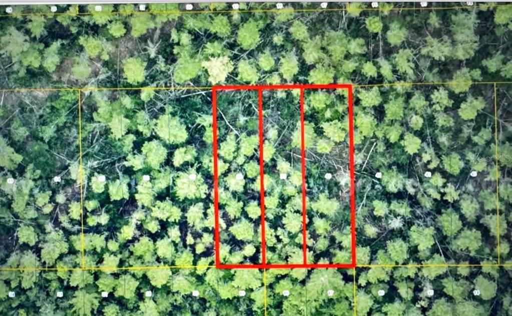 For Sale: $9,000 (0.17 acres)