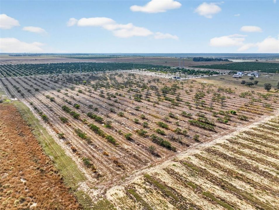 For Sale: $525,000 (21.74 acres)