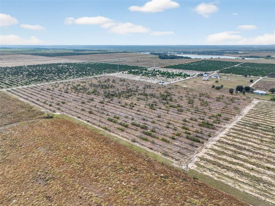 For Sale: $525,000 (21.74 acres)