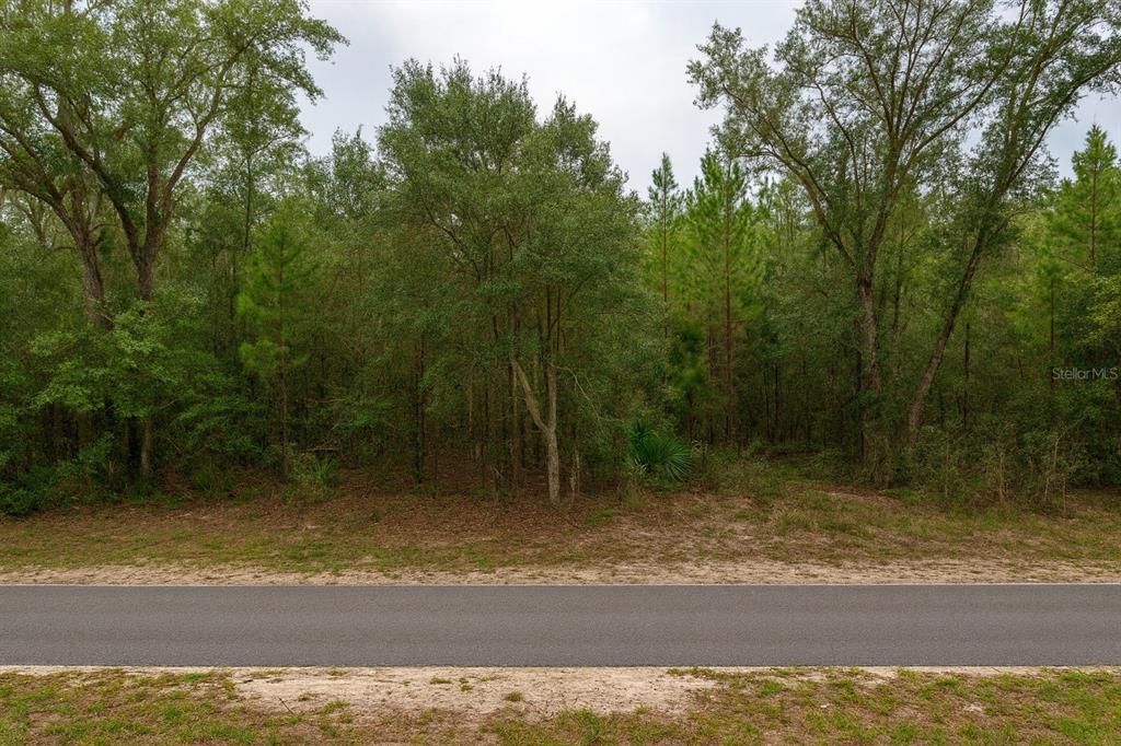 En Venta: $25,000 (0.22 acres)