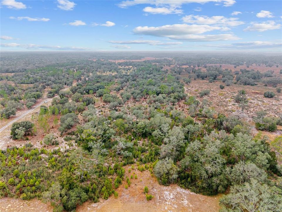 For Sale: $890,000 (20.01 acres)