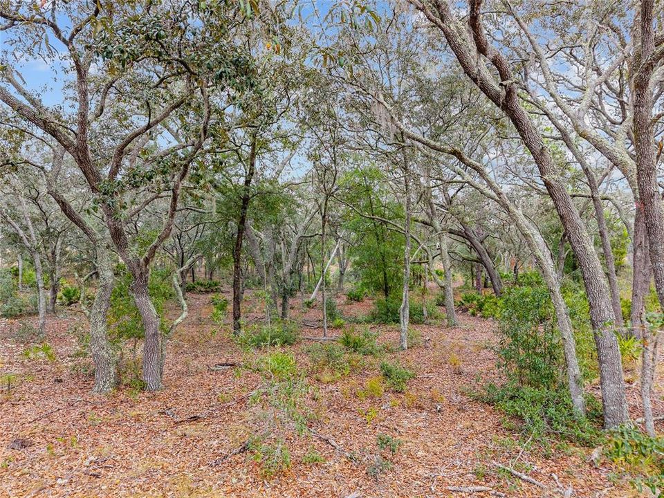 For Sale: $890,000 (20.01 acres)