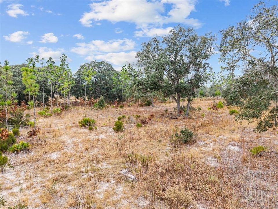 For Sale: $890,000 (20.01 acres)