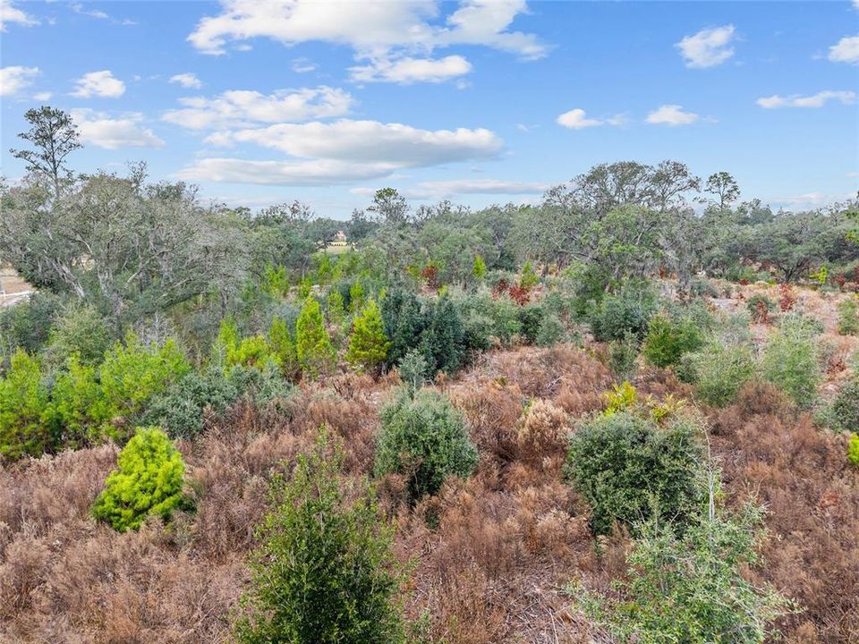 For Sale: $890,000 (20.01 acres)