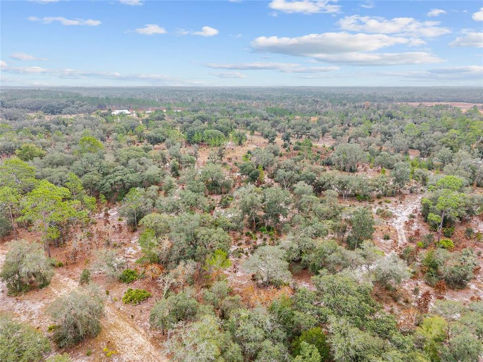 For Sale: $890,000 (20.01 acres)