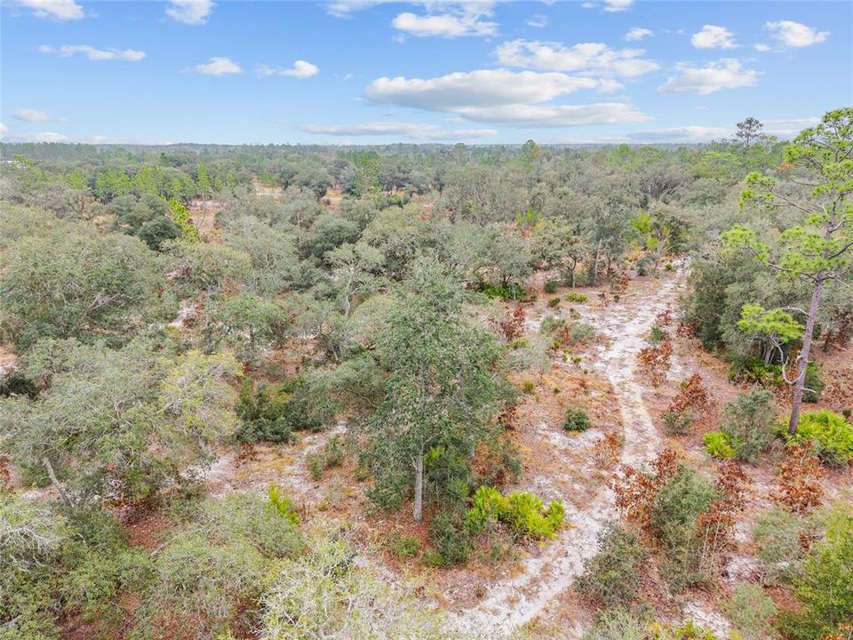 For Sale: $890,000 (20.01 acres)