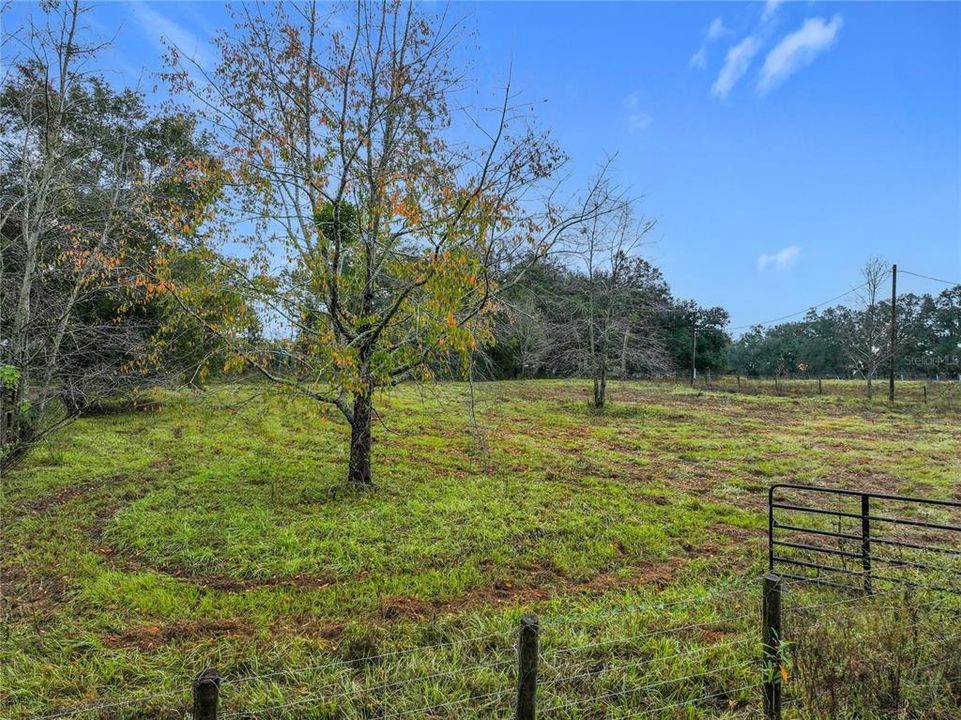 待售: $299,900 (5.00 acres)