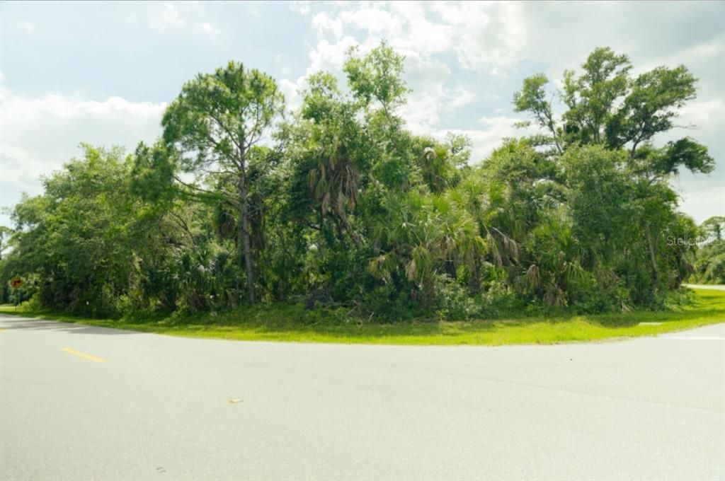 待售: $29,000 (0.34 acres)