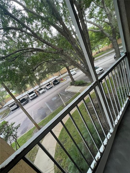 出租: $1,395 (1 贝兹, 1 浴室, 558 平方英尺)