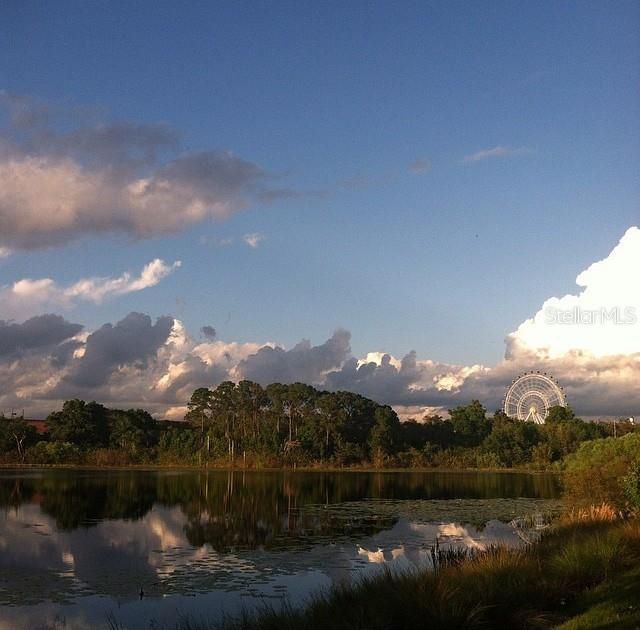 出租: $1,395 (1 贝兹, 1 浴室, 558 平方英尺)