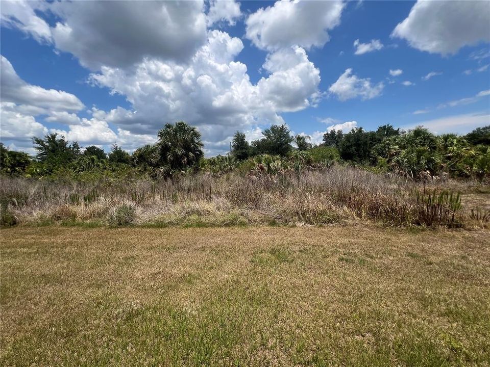 出租: $1,850 (3 贝兹, 2 浴室, 1565 平方英尺)